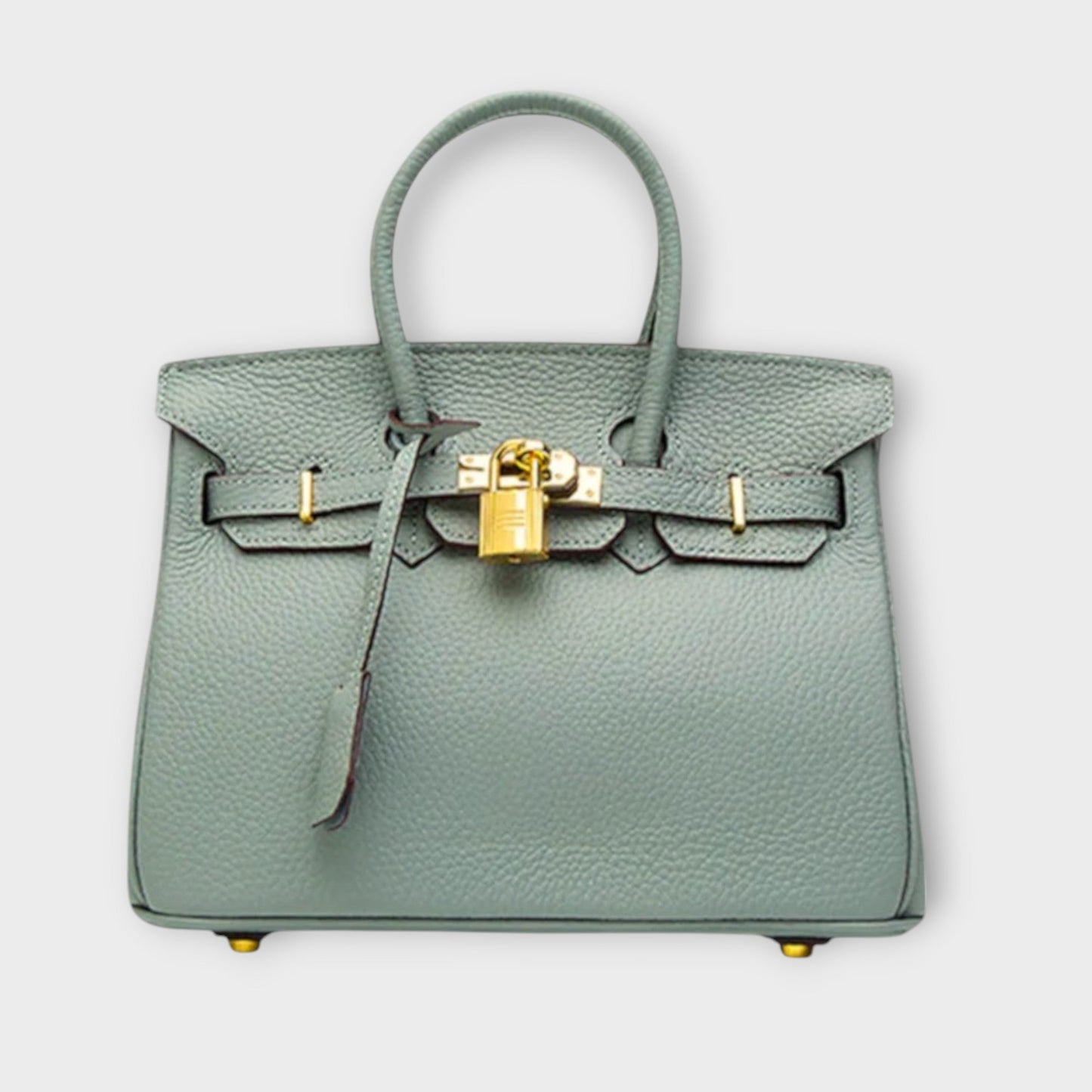 Lena™ Luxurious Handbag